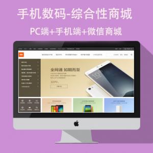 网站建站B2B网站定制开发系统商城B2C网站开发