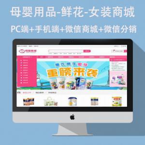 网站开发B2B,B2C母婴玩具鲜花微信分销商城医疗医院网站开发